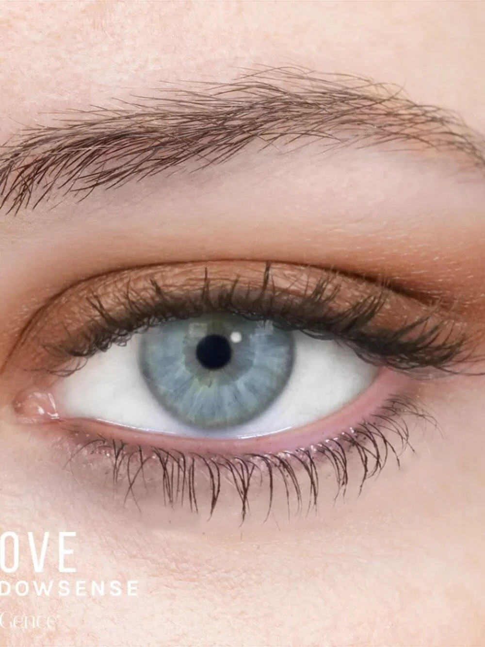Clove ShadowSense
